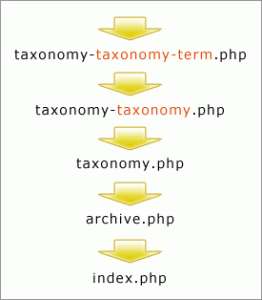 Пользовательская таксономия (Custom Taxonomy)